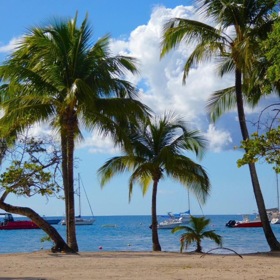 La Plage - Mer Des Caraibes A 30M Les Trois-Ilets Exteriör bild